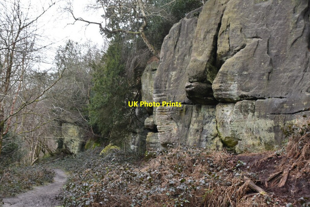 Photo 6"x4" Eridge Rocks Eridge Green c2021 P1