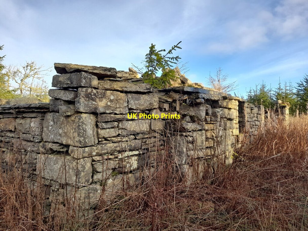 Photo 6"x4" Ruin at Clashcraggan Roster c2022