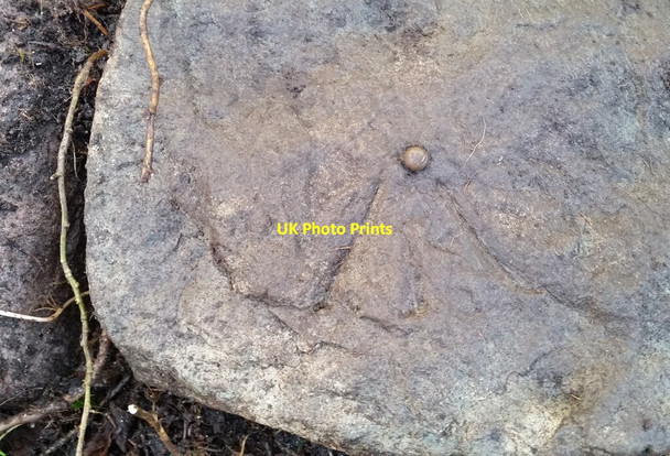 Photo 6"x4" Ordnance Survey Rivet Glyntawe c2022