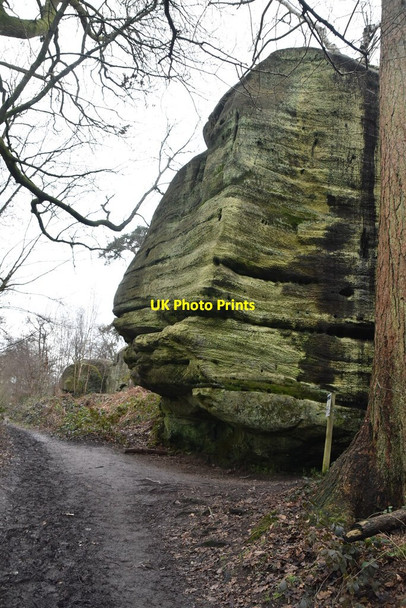 Photo 6"x4" Eridge Rocks Eridge Green c2021 P1