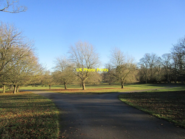 Photo 6"x4" Roadway to The Lodge and Manthorpe Mill Grantham c2022