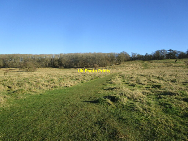 Photo 6"x4" Path in Belton Park Belton\/SK9239 c2022