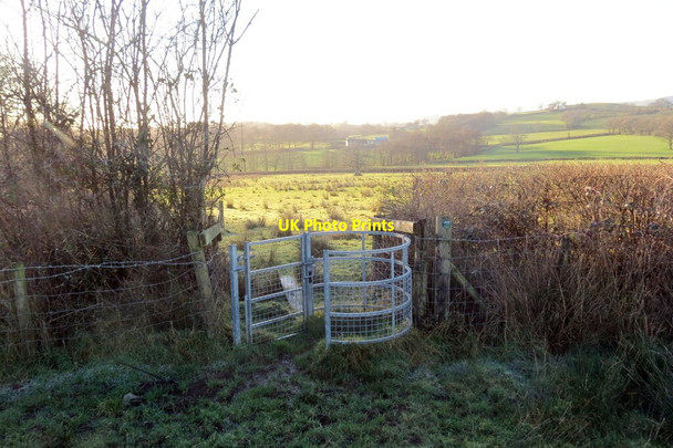 Photo 6"x4" Llwybr ger Glasallt Fawr \/ Path near Glasallt Fawr Llanwrda c2022