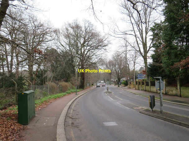 Photo 6"x4" Sundridge Avenue, near Bromley Bromley\/TQ4069 c2022
