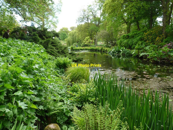 Photo 6"x4" Stream at Hodnet Hall Hodnet c2013
