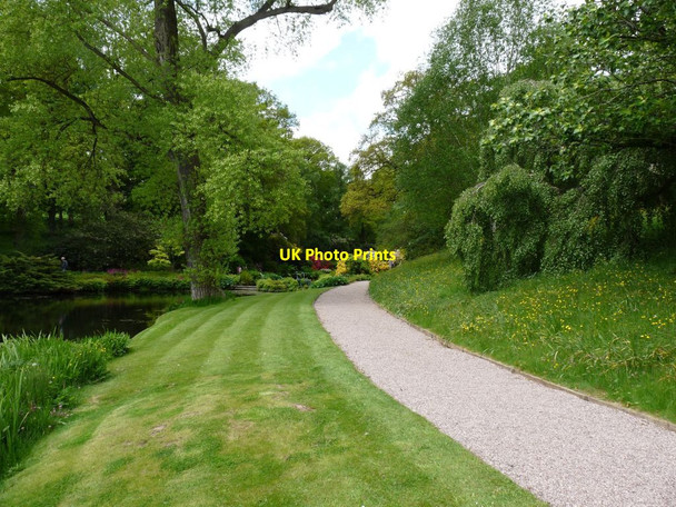 Photo 6"x4" Path along the edge of the Main pool Hodnet c2013
