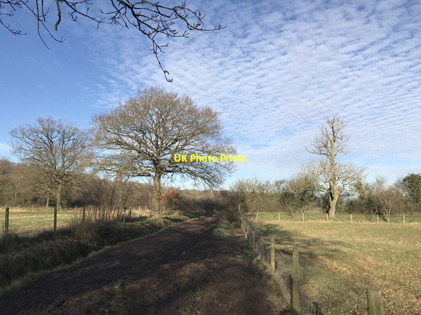 Photo 6"x4" Bridleway junction Cropston c2022