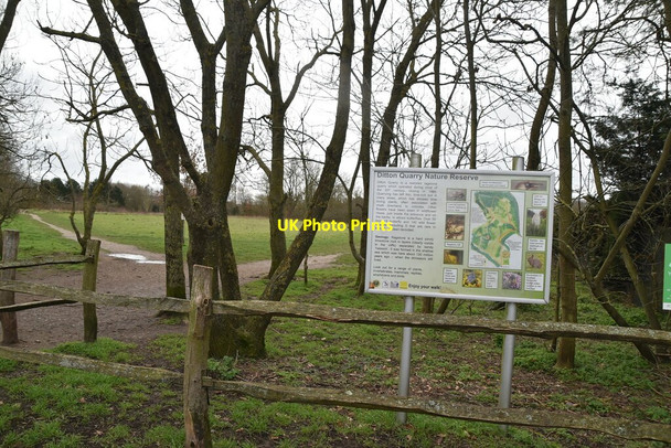 Photo 6"x4" Ditton Quarry Nature Reserve Ditton\/TQ7157 c2021