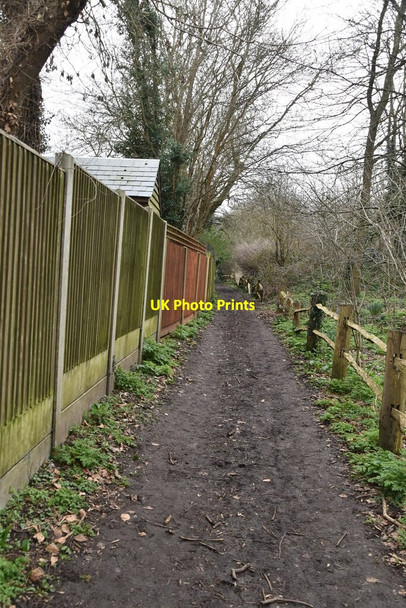 Photo 6"x4" Footpath, edge of Holt Hill Ditton\/TQ7157 c2021