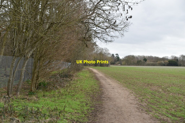 Photo 6"x4" Footpath by Dog Kennel Wood Royal British Legion Village c2021