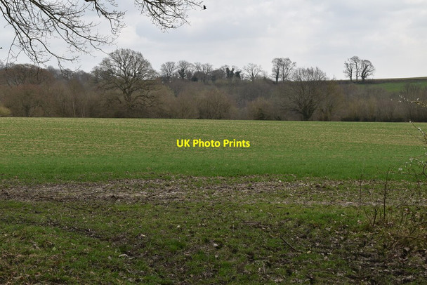 Photo 6"x4" Farmland by Sussex Border Path Four Throws c2021
