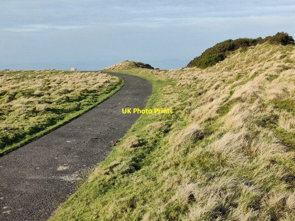 Photo 6"x4" Shropshire Way at Abdon Burf Hillside\/SO5987 c2022