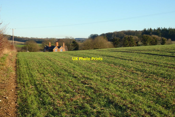 Photo 6"x4" Farmland, Laverstoke Laverstoke c2022