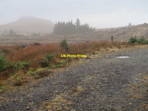 Photo 6"x4" Clear fell in Ladymuir forest Windy Hill\/NS3163 c2022
