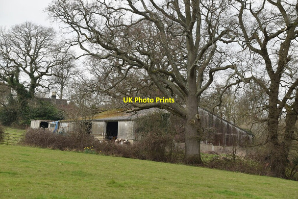 Photo 6"x4" Barn near Hurst Green Hurst Green\/TQ7327 c2021