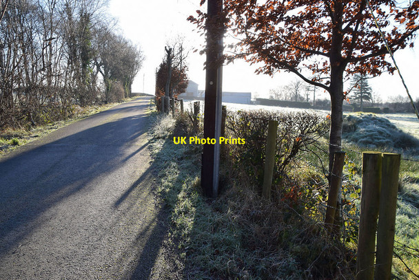 Photo 6"x4" Frosty along Woodbank Road Omagh c2022