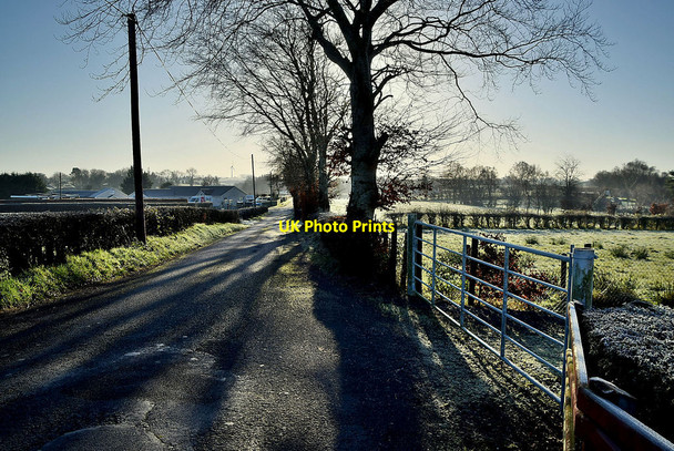 Photo 6"x4" Woodbank Road, Arvalee Omagh c2022