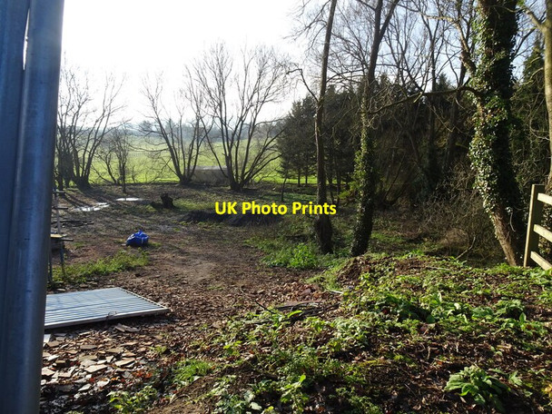 Photo 6"x4" Botterham House View Blakeley\/SO8692 c2022