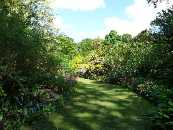 Photo 6"x4" Grass path through shrubs Hodnet c2013