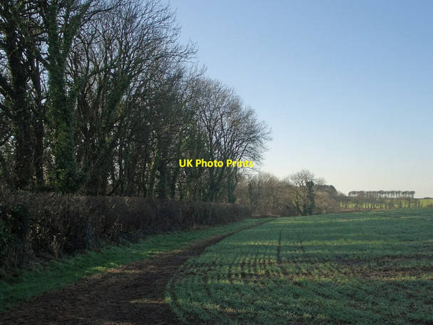 Photo 6"x4" The western end of the Long Belt at Tythegston viewed from the north Tythegston c2022