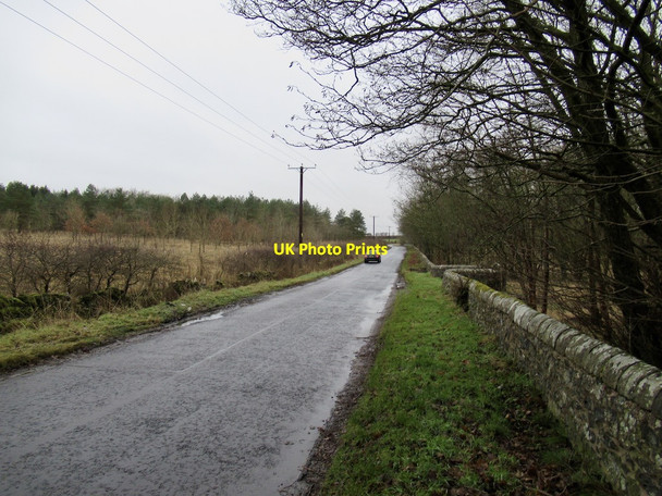 Photo 6"x4" Minor road, Falfield Backmuir of New Gilston c2022