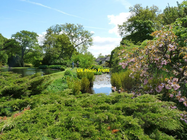Photo 6"x4" View of the Tearooms across the Horse wash pool Hodnet c2013