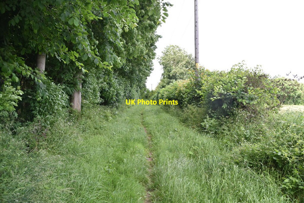 Photo 6"x4" Grassy footpath Gatley End c2021