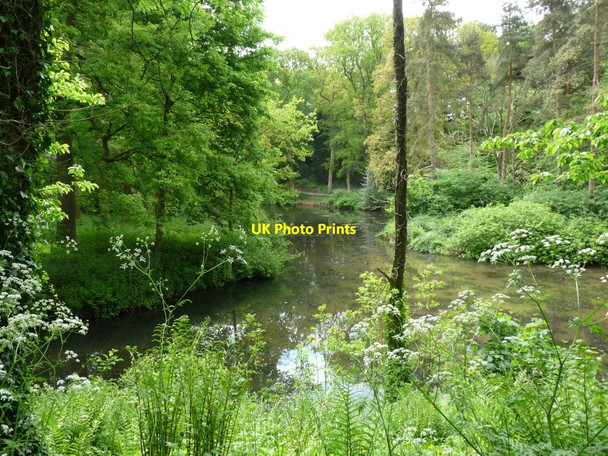 Photo 6"x4" The Paradise Pool Hodnet c2013