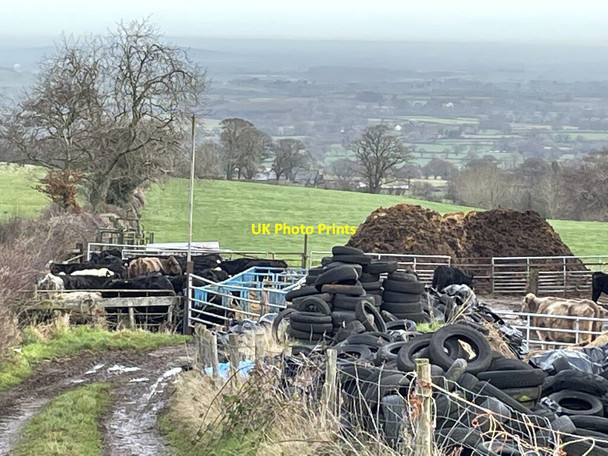 Photo 6"x4" The Beeches Farm on the Shropshire Way south of Pulverbatch Picklescott c2022