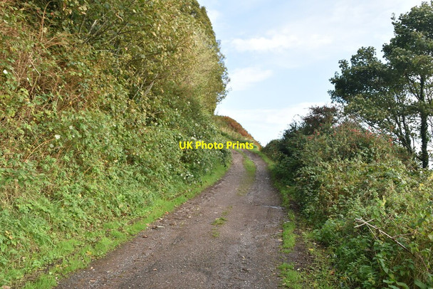 Photo 6"x4" Cliff footpath Cushendall c2021
