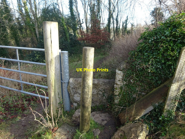 Photo 6"x4" Stone Stile, Minchinhampton Burnt Ash c2022