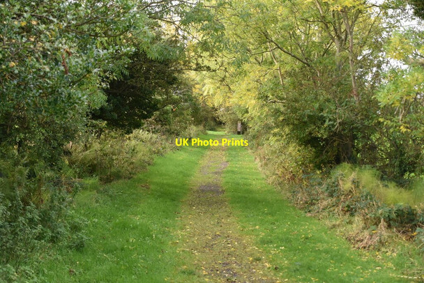 Photo 6"x4" Footpath to Layd Cushendall c2021