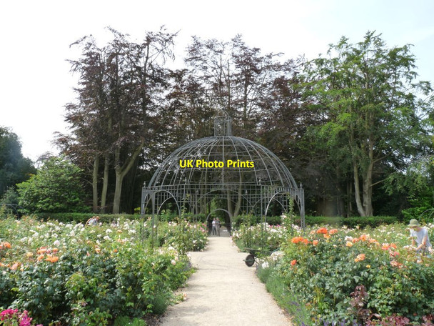 Photo 6"x4" The Rose Garden Dunham Town c2013