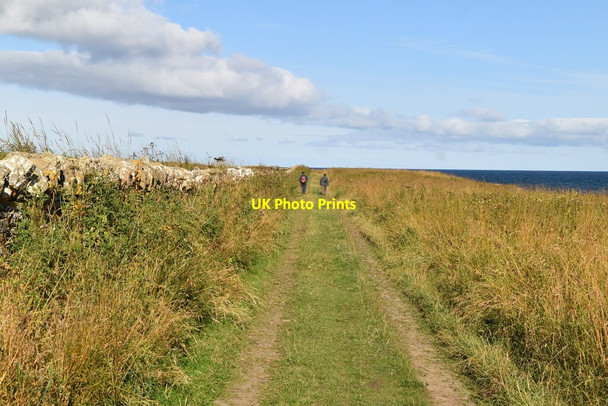 Photo 6"x4" Battery Trail Castletown\/ND1967 c2021
