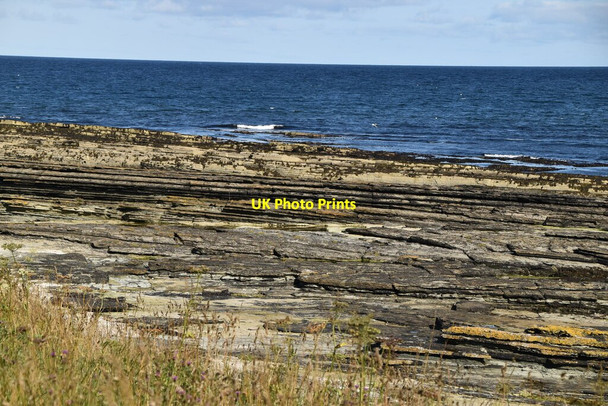 Photo 6"x4" Caithness Flagstone Wave Cut Platform Castletown\/ND1967 c2021