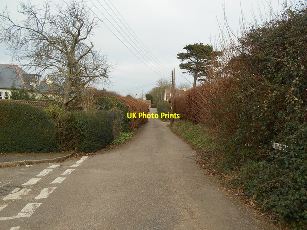 Photo 6"x4" Alma Lane Sidmouth c2022