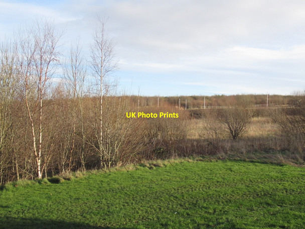 Photo 6"x4" Parkland, Edmonstone Moredun c2022