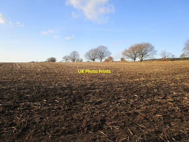 Photo 6"x4" Partially prepared field off Spa Lane Mansfield Woodhouse c2022