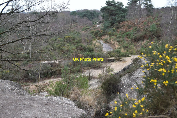 Photo 6"x4" View over former gravel working, St. Catherine\u00e2\u0080\u0099s Hill St Catherine's Hill\/SZ1495 c2022