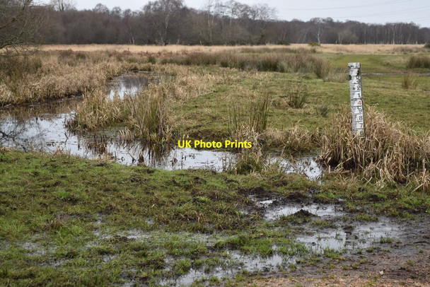 Photo 6"x4" Depth marker and drainage ditch on Coward\u00e2\u0080\u0099s Marsh Christchurch\/SZ1592 c2022