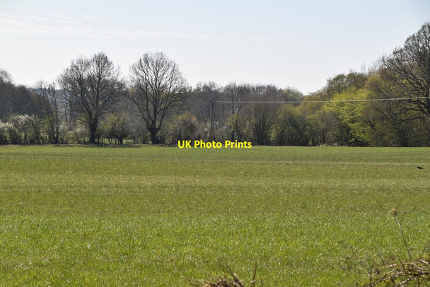 Photo 6"x4" Pasture, Ketche's Lane Sheffield Green\/TQ4124 c2021