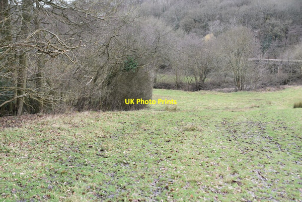 Photo 6"x4" Sussex Border Path Heathfield\/TQ5630 c2021