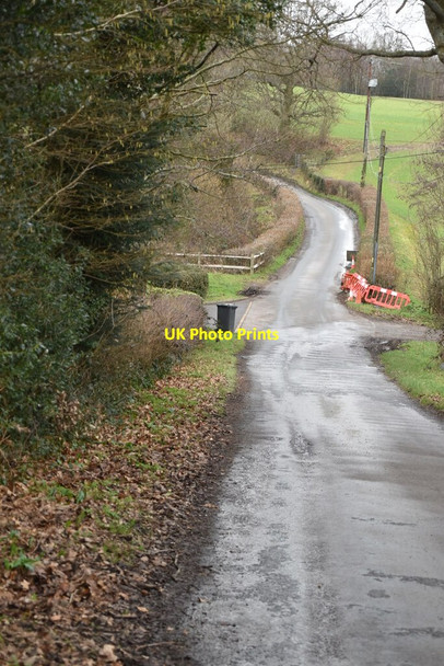 Photo 6"x4" Sandhill Lane Boarshead c2021 P1