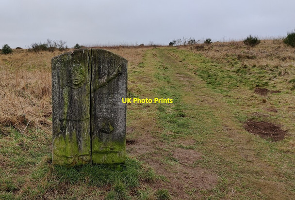 Photo 6"x4" Wood carving at the east entrance to the hill fort Acton\/SO3184 c2022