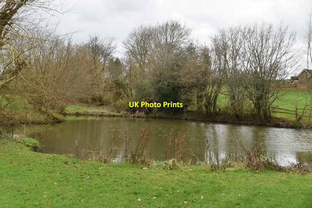 Photo 6"x4" Pond, Hamsell Farm Eridge Green c2021