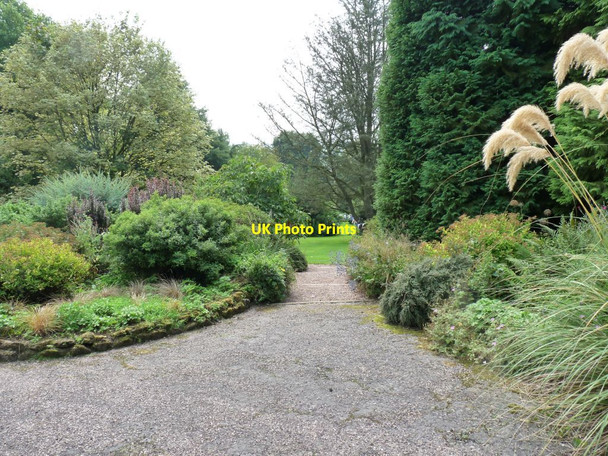 Photo 6"x4" Steps down to the lower part of the garden Blackbrook\/SJ7639 c2013