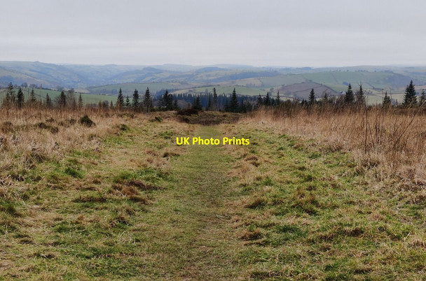 Photo 6"x4" The Shropshire Way at Bury Ditches Iron Age hill fort Acton\/SO3184 c2022