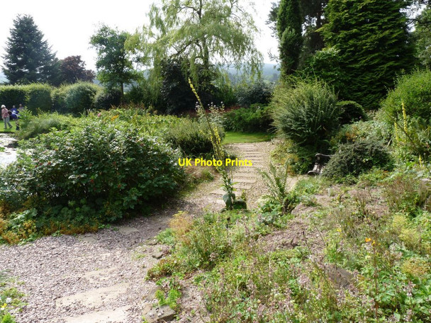 Photo 6"x4" Path through the rock garden Blackbrook\/SJ7639 c2013