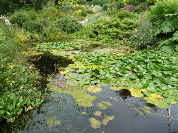 Photo 6"x4" View across the pool Blackbrook\/SJ7639 c2013