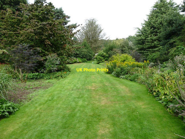 Photo 6"x4" Grass path back up towards the Cafe area Blackbrook\/SJ7639 c2013